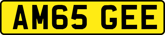 AM65GEE