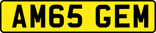 AM65GEM