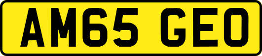 AM65GEO