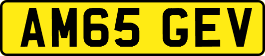 AM65GEV
