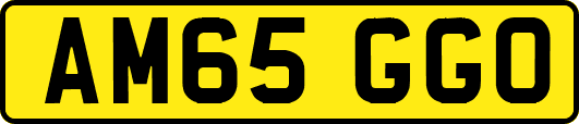 AM65GGO