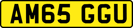 AM65GGU
