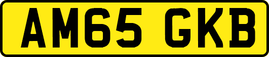 AM65GKB