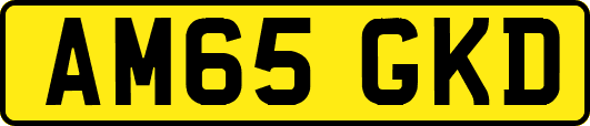 AM65GKD