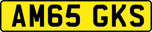 AM65GKS