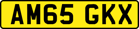AM65GKX