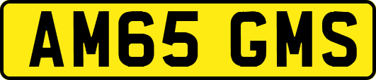 AM65GMS