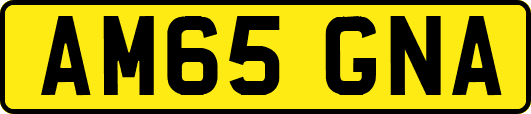 AM65GNA