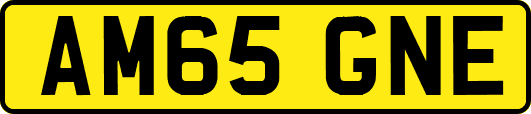 AM65GNE