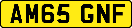 AM65GNF