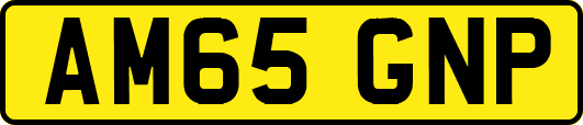 AM65GNP