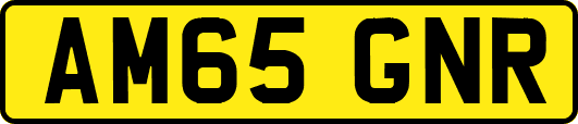 AM65GNR