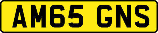 AM65GNS