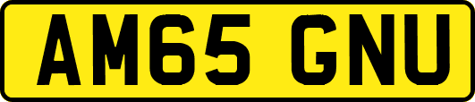AM65GNU