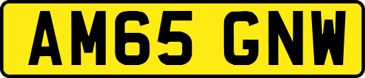 AM65GNW