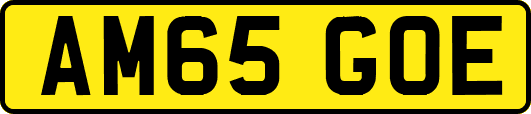 AM65GOE