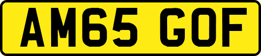 AM65GOF