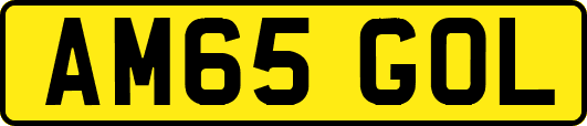 AM65GOL