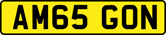 AM65GON