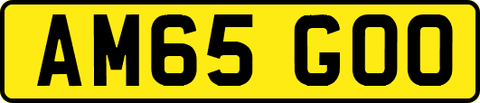 AM65GOO