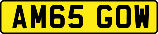 AM65GOW