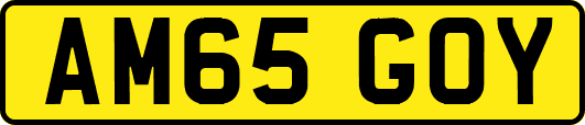 AM65GOY