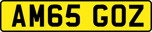 AM65GOZ