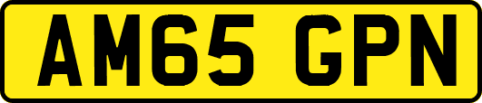 AM65GPN