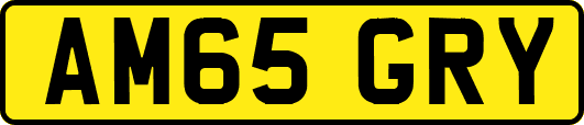 AM65GRY