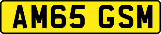 AM65GSM