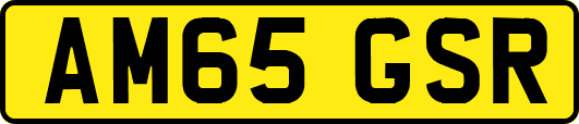 AM65GSR