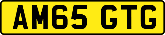 AM65GTG