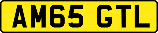AM65GTL