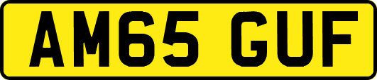 AM65GUF