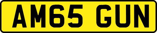 AM65GUN