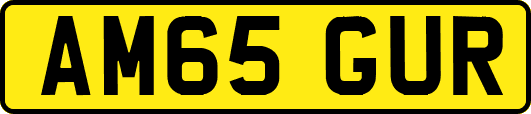AM65GUR