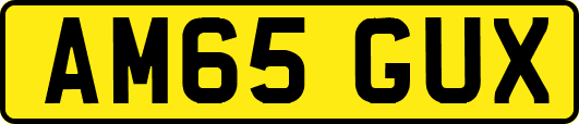 AM65GUX