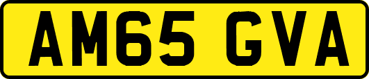 AM65GVA