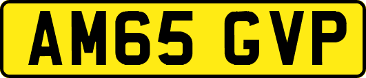 AM65GVP