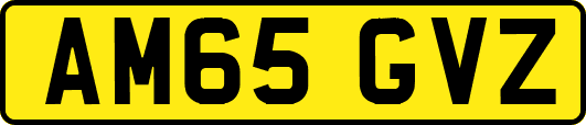 AM65GVZ
