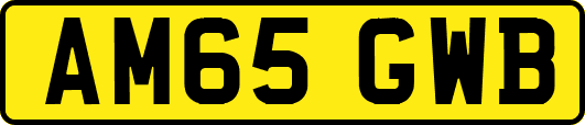 AM65GWB