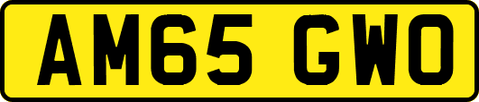 AM65GWO