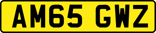 AM65GWZ