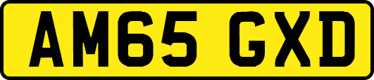 AM65GXD