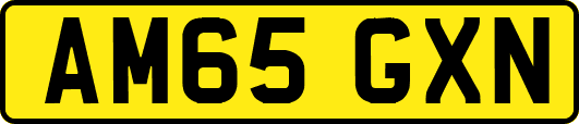 AM65GXN