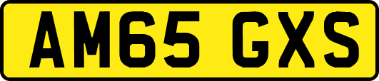 AM65GXS
