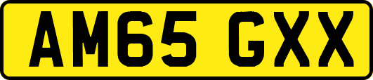 AM65GXX