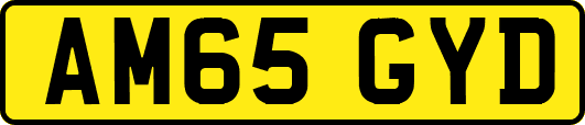 AM65GYD
