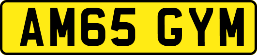 AM65GYM