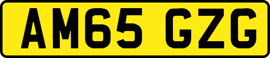 AM65GZG